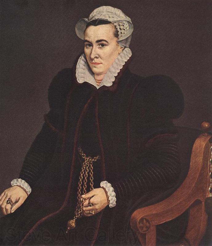 POURBUS, Frans the Elder Portrait of a Woman igtu Spain oil painting art